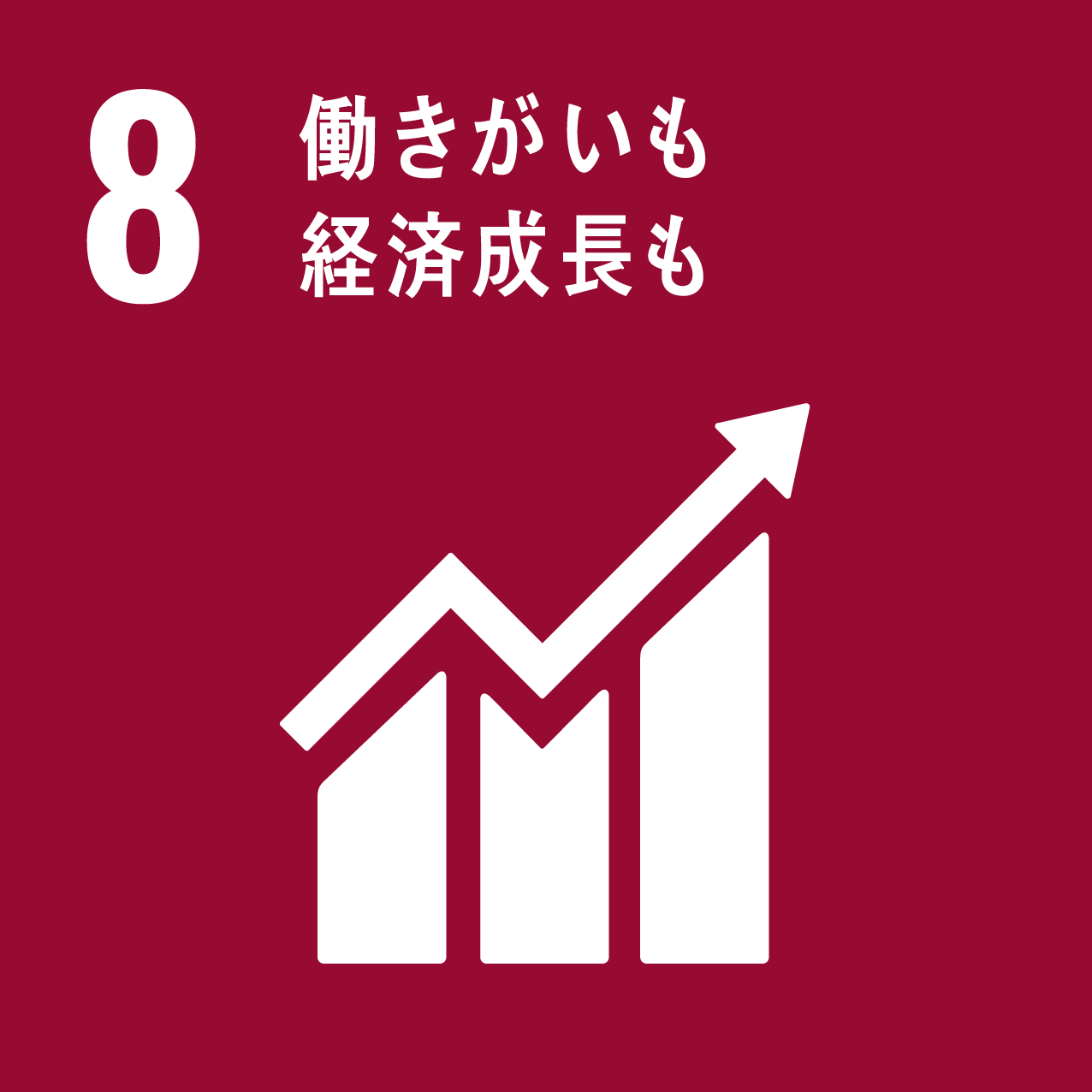 sdgs-icon-08